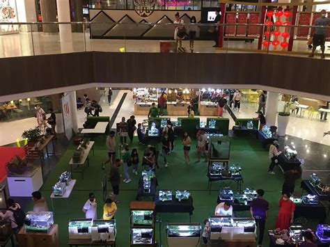 Adidas (Robinsons Galleria Ortigas, Quezon City, Metro Manila .